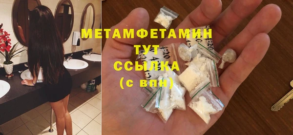 индика Апатиты