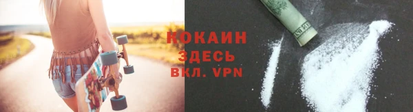 стафф Алзамай
