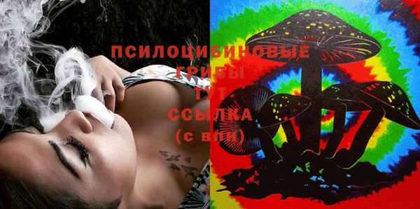 PSILOCYBIN Касимов