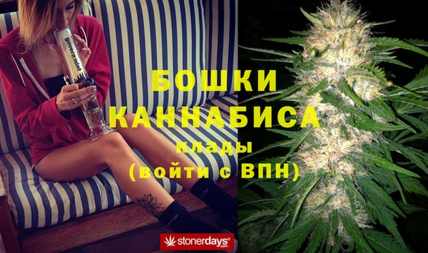 стафф Алзамай
